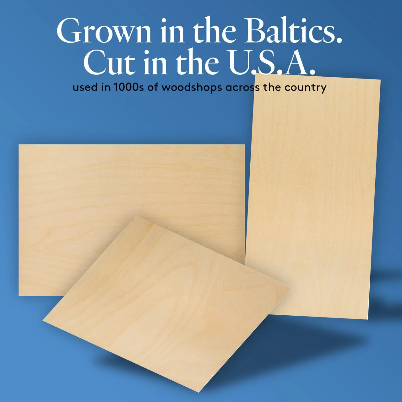 1/4" x 12" x 20" Baltic Birch B/BB Plywood - Image 5